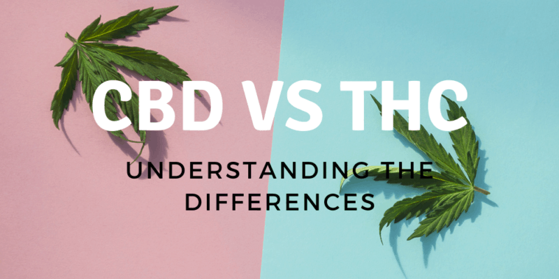 CBD-VS-THC